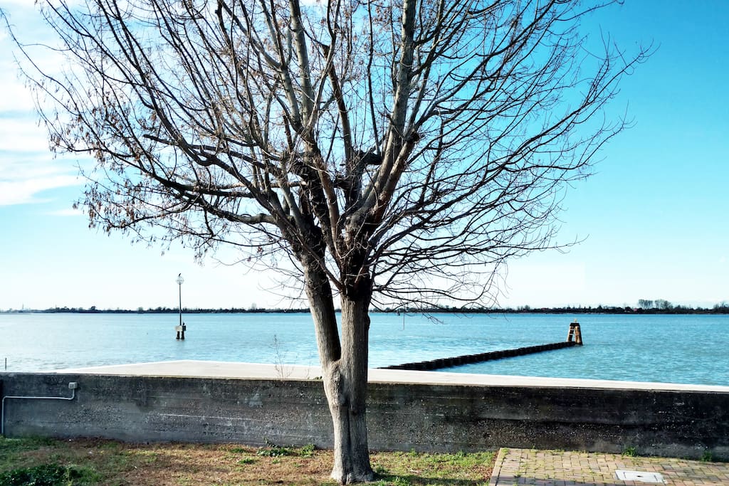 Ampio appartamento a 5 minuti a piedi dall'imbarcadero per Venezia e dalla stazione dell'autobus,vicinissimo anche alla spiaggia poco più di un 1 km.