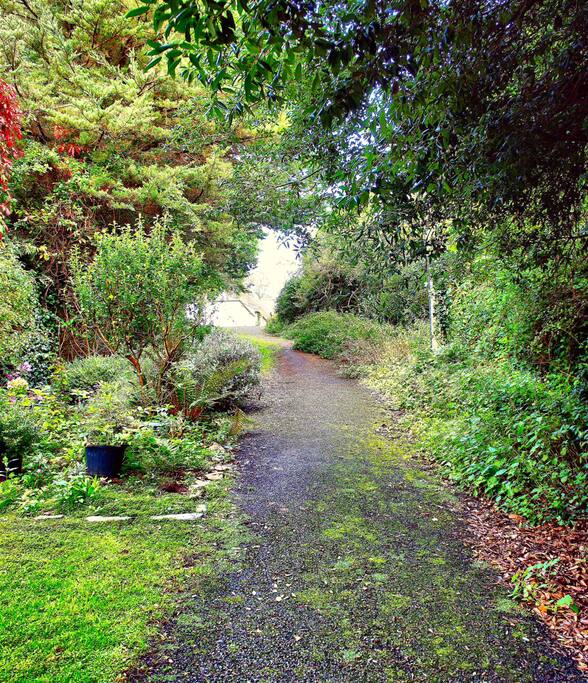 The walk from the green down to the cottage