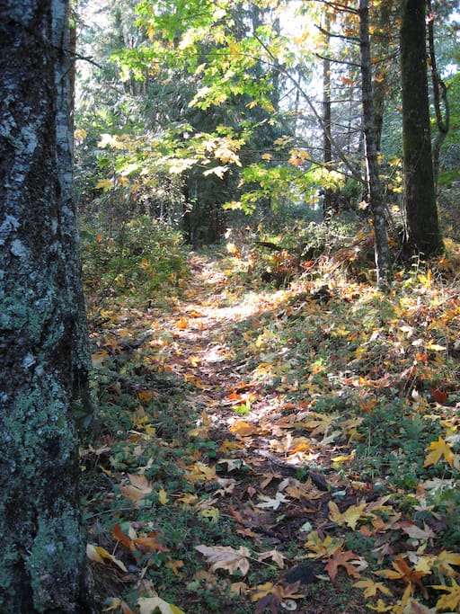 10 acres of trails through meadows, stream, and forest.