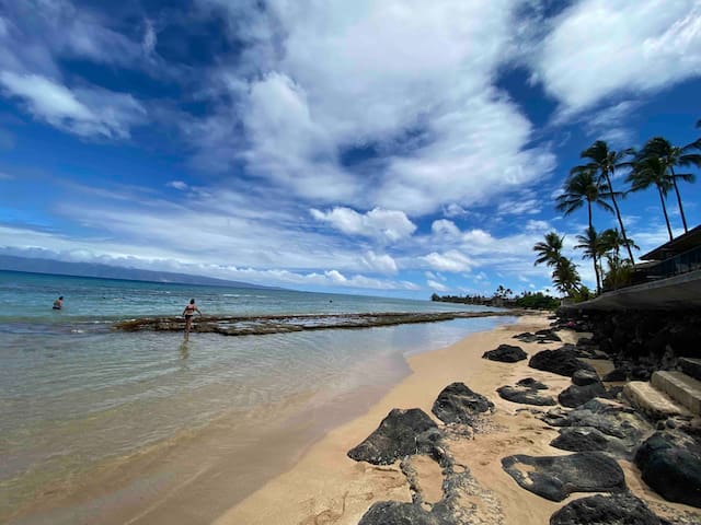 Tropical breeze by the sea