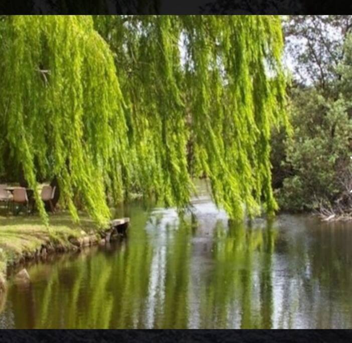 Tambo River setting for guests to enjoy!