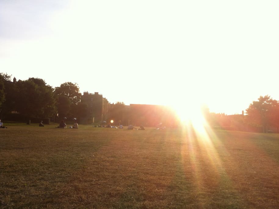 25 meters from the apartment is a park for sunbathing or a bbq
