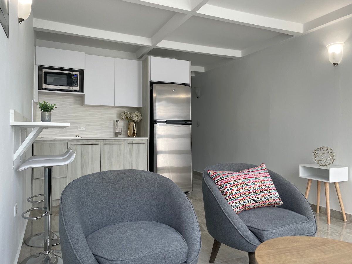 An open living space features modern furnishings, including two cozy armchairs and a round table. A well-equipped kitchen area is visible in the background, showcasing stainless steel appliances. Soft lighting enhances the neutral color scheme of the walls.