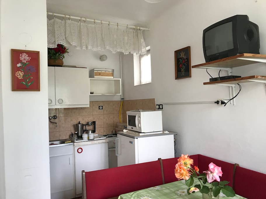 Ground floor kitchen with microwave, fridge and TV