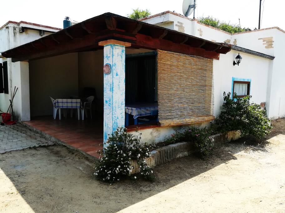 Vista laterale