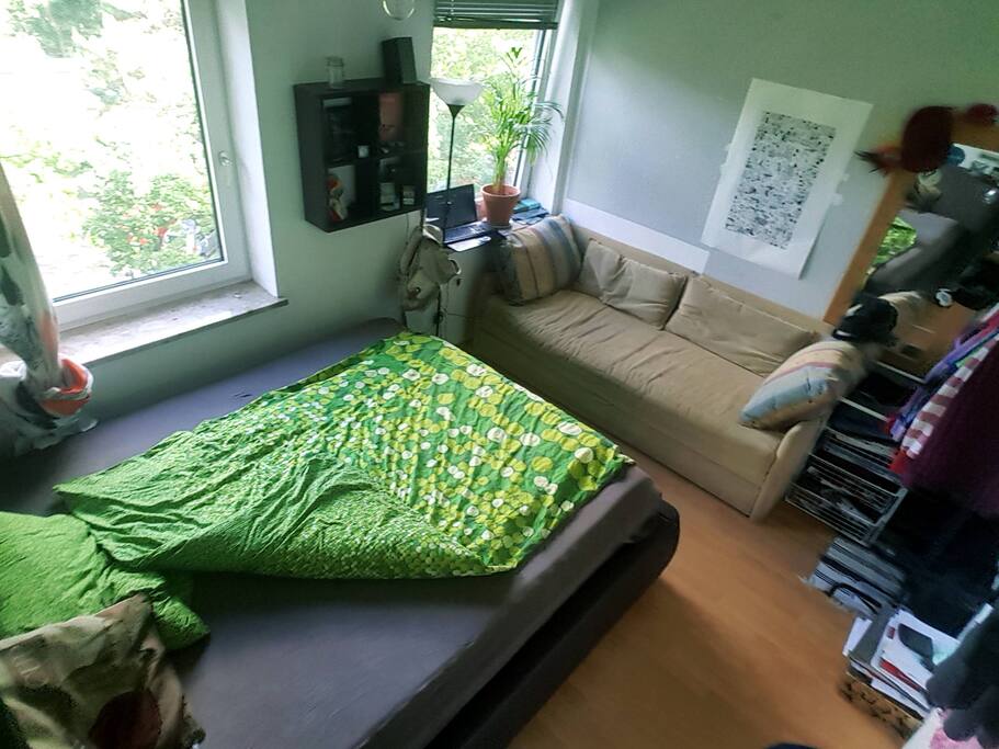 The room