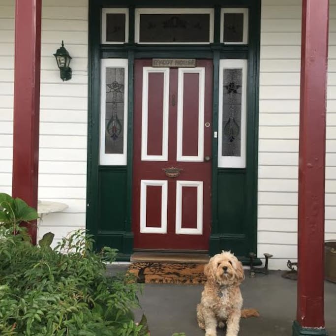 Your entrance and Billy the dog to welcome you