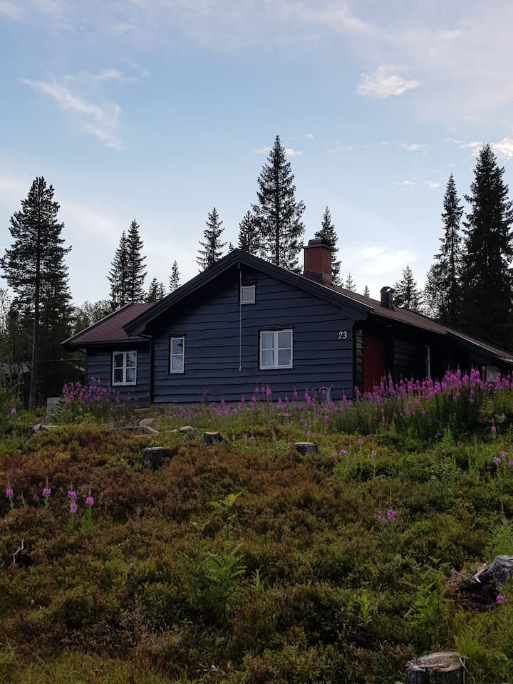 Тюнсет Хедмарк Norway достопримечательности