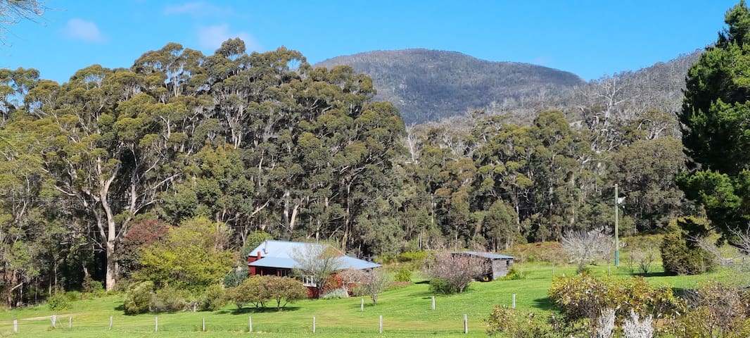 The Pioneer Cottage at Thorn’s Mountain Retreats