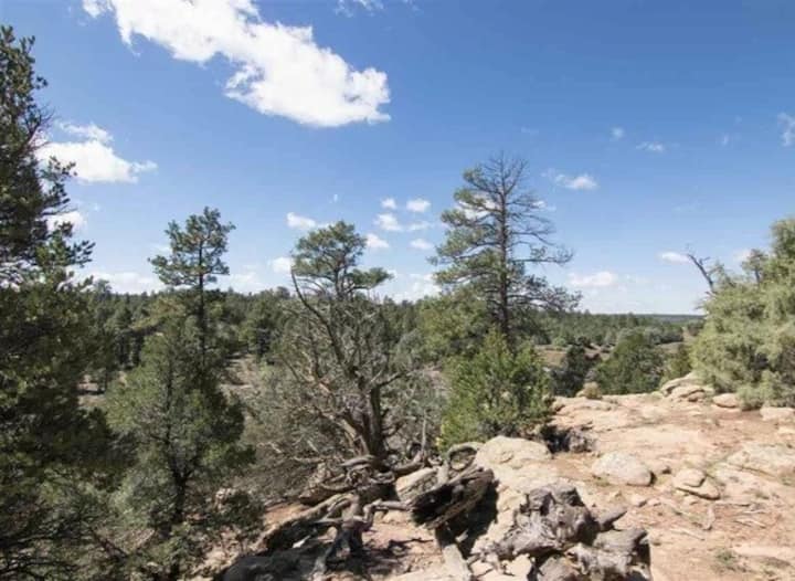 Ramah Holiday Rentals & Homes New Mexico, United States Airbnb