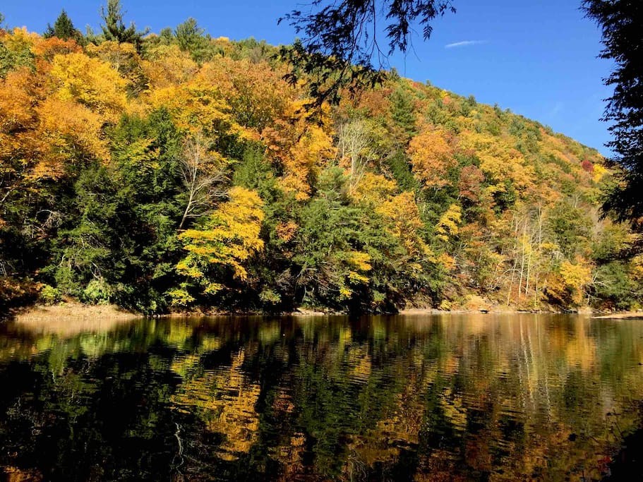 The Vortex cabin Loyalsock creek Cabins for Rent in Hillsgrove