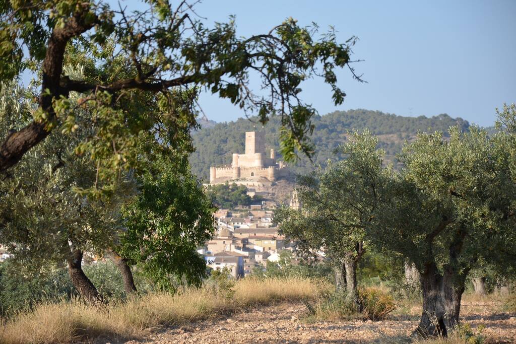 View from the fields