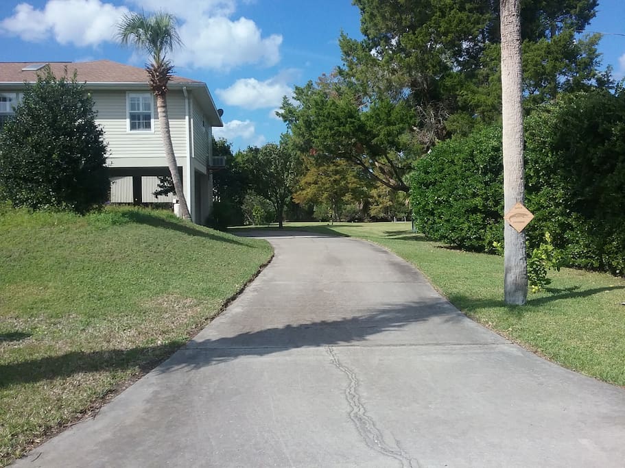 Driveway with a Gator Crossing sign welcomes you.