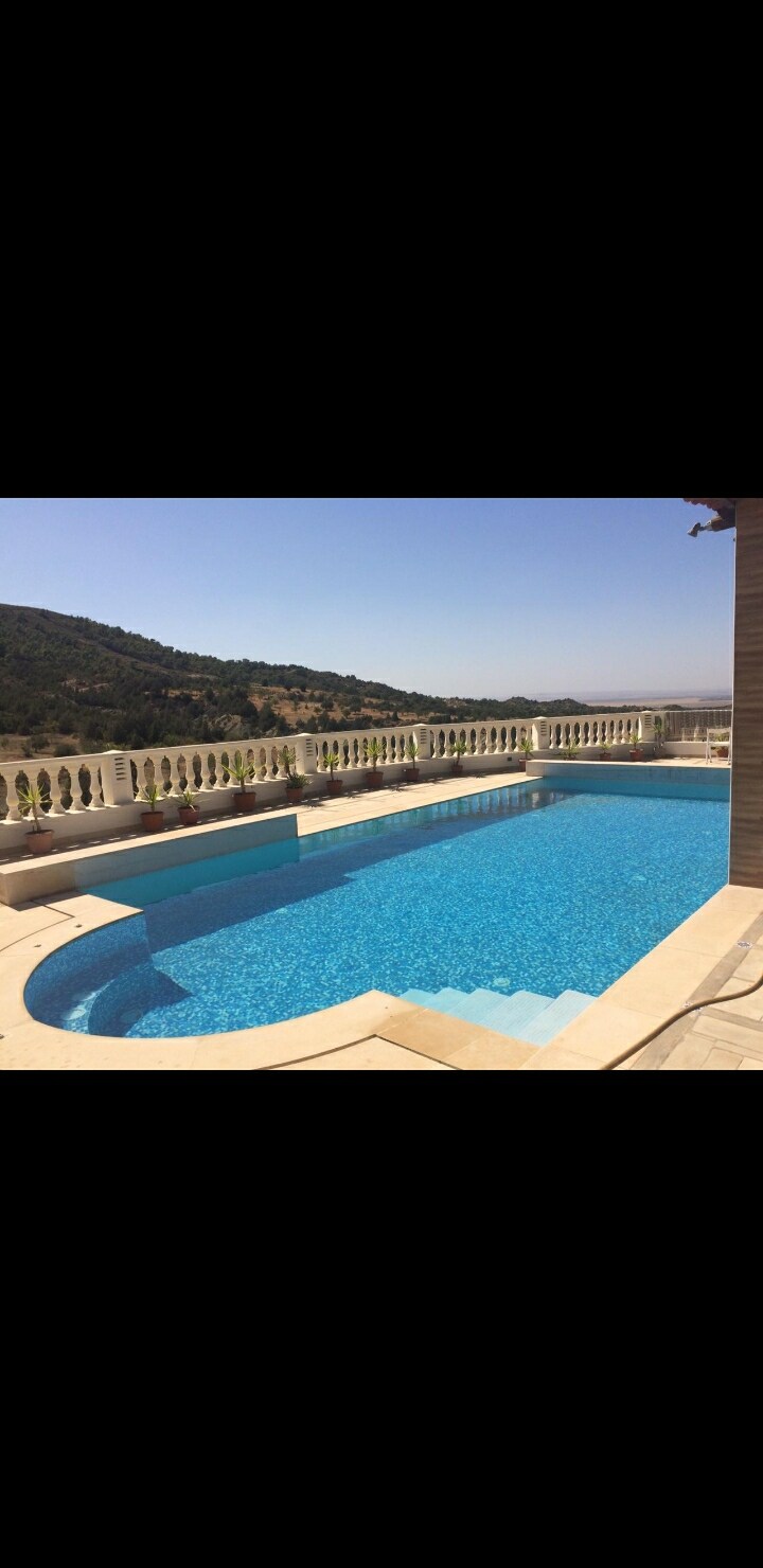 An inviting swimming pool is framed by a stone patio, showcasing sparkling blue water under a clear sky. A railing with decorative balusters encircles the pool area, presenting scenic views of the surrounding hillside and greenery.
