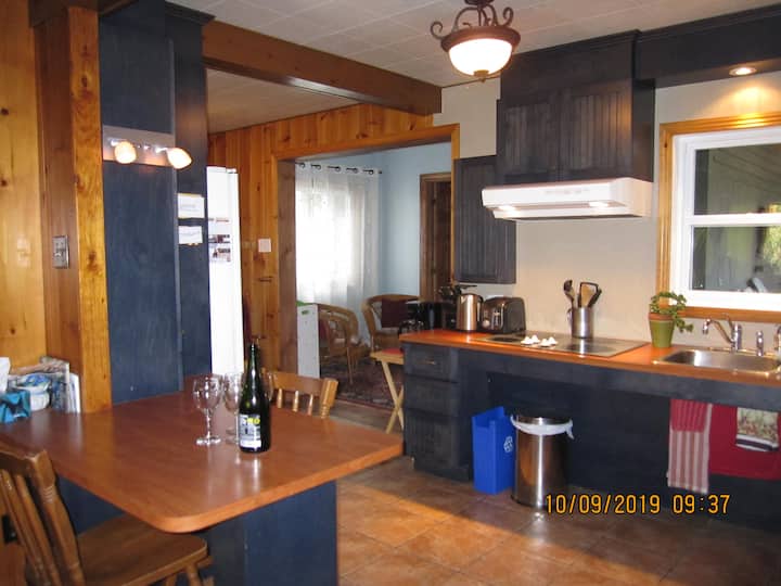 Blue cottage near the lac, spa, fire place