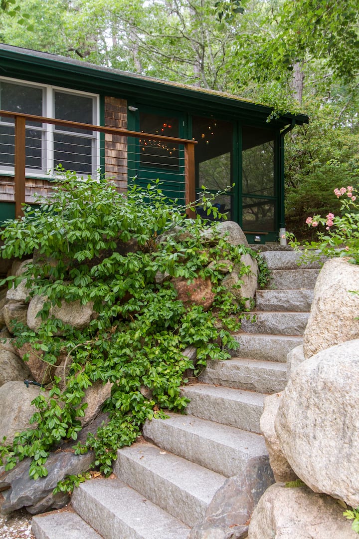 Glass House modern updates Houses for Rent in Wellfleet