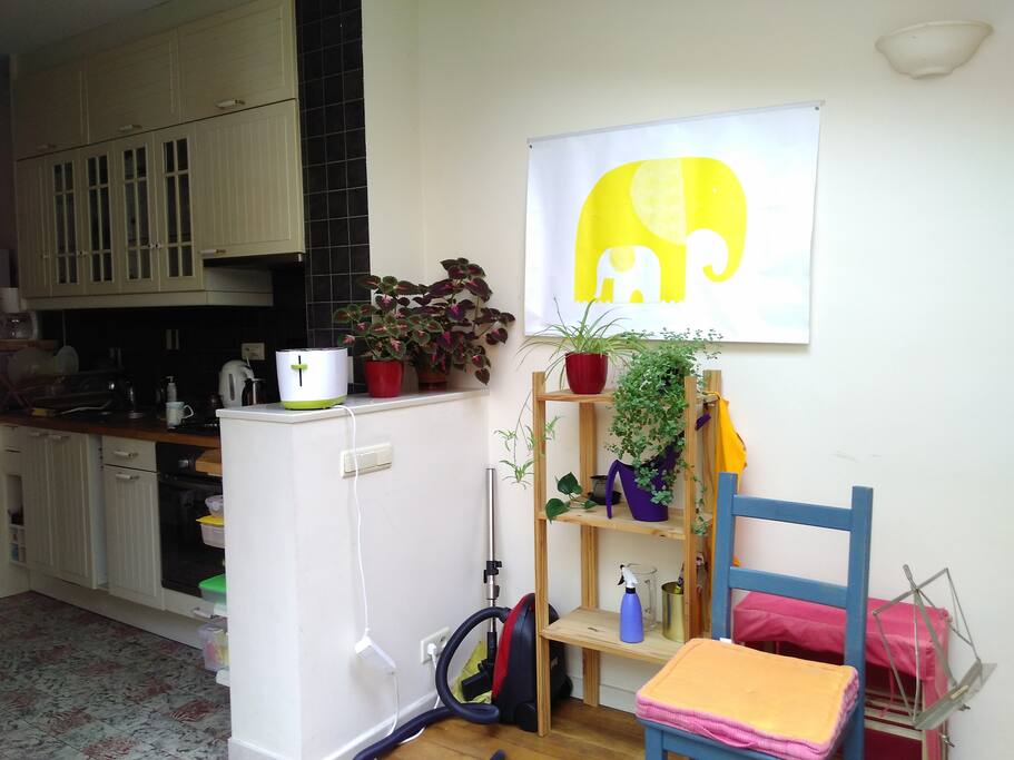 Open kitchen