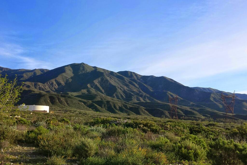 Local hiking trail within 15 min