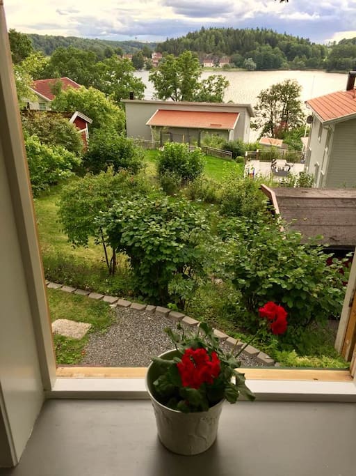 Summer view from one of the kitchen widows.