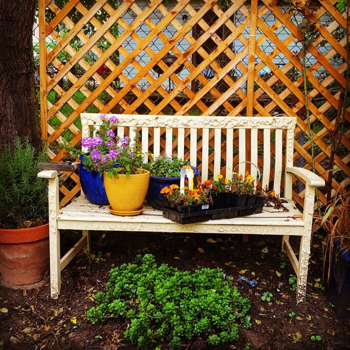 Seating area in the back garden