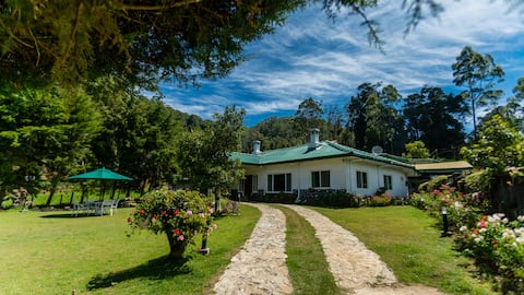 The Seven Oaks