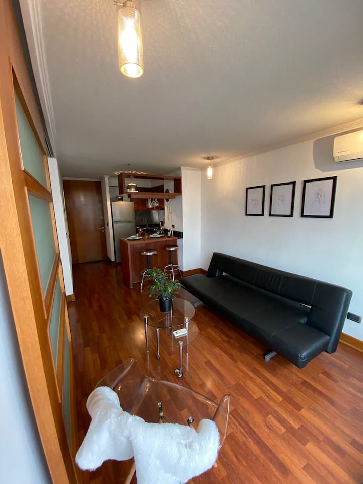 Oasis Apartments Manuel Montt Ego - Providencia