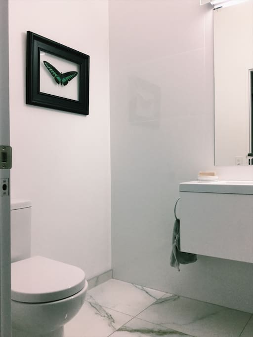 Separate Toilet