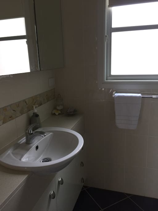 Private shower with seperate toilet, both with safety rails.