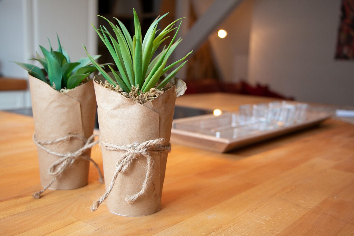 Two potted plants are placed on a wooden countertop. Each plant is wrapped in a rustic paper pot tied with twine. The background features a blurred view of a wooden serving tray and glasses, contributing to a warm, natural setting.