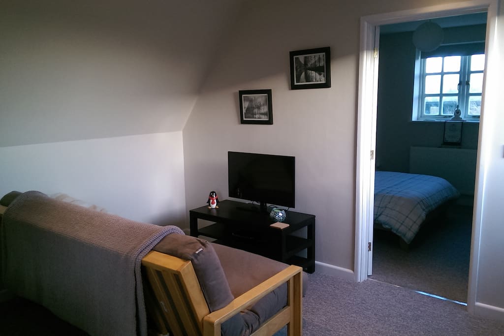 Cozy living space with DVD player and library of movies