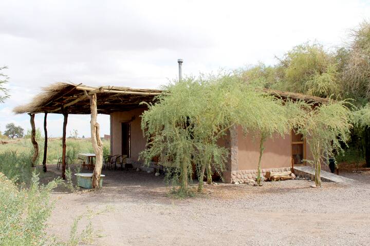 Tranquility in an oasis in the middle of the desert