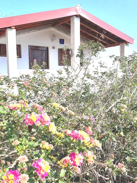 Top Airbnb: Apartments Toni - House in Jagodna