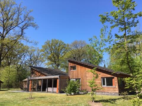Family house with Sauna 18 people De Leeuwerik