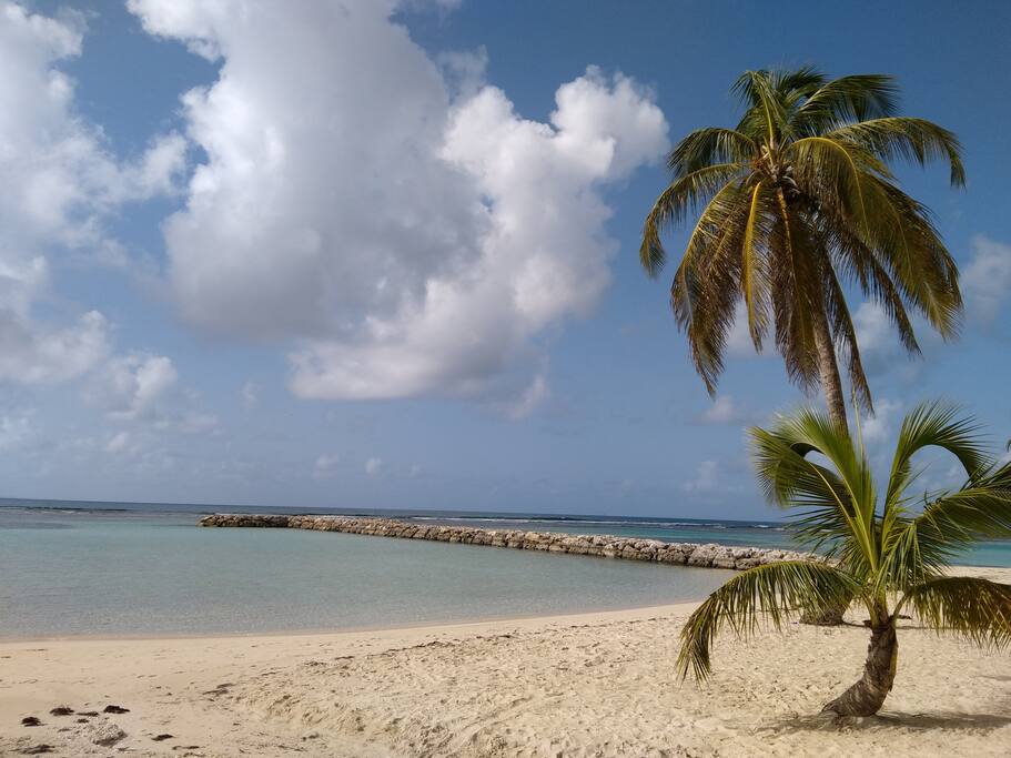 Plage du Bourg - 250 m