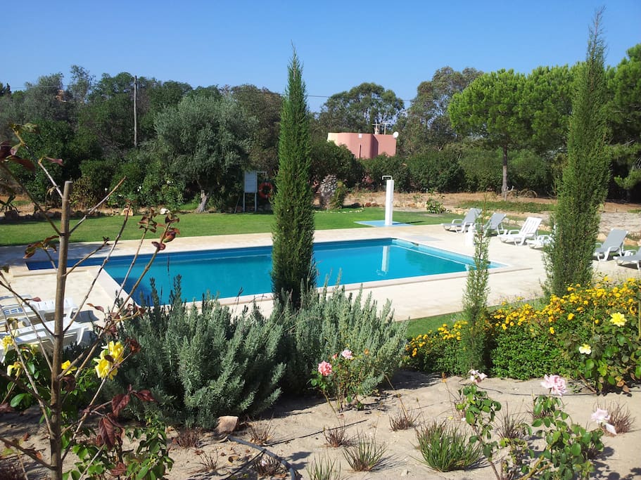 Piscina e jardim.