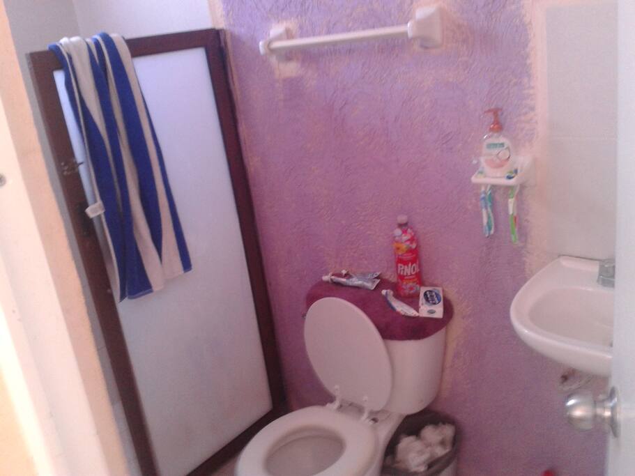 Bathroom area