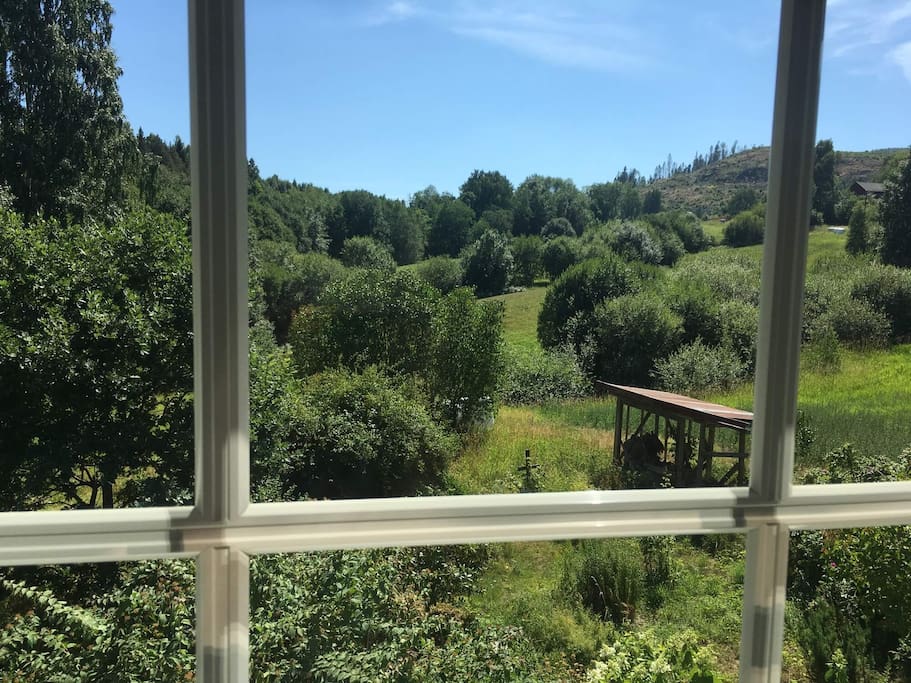 View from the living