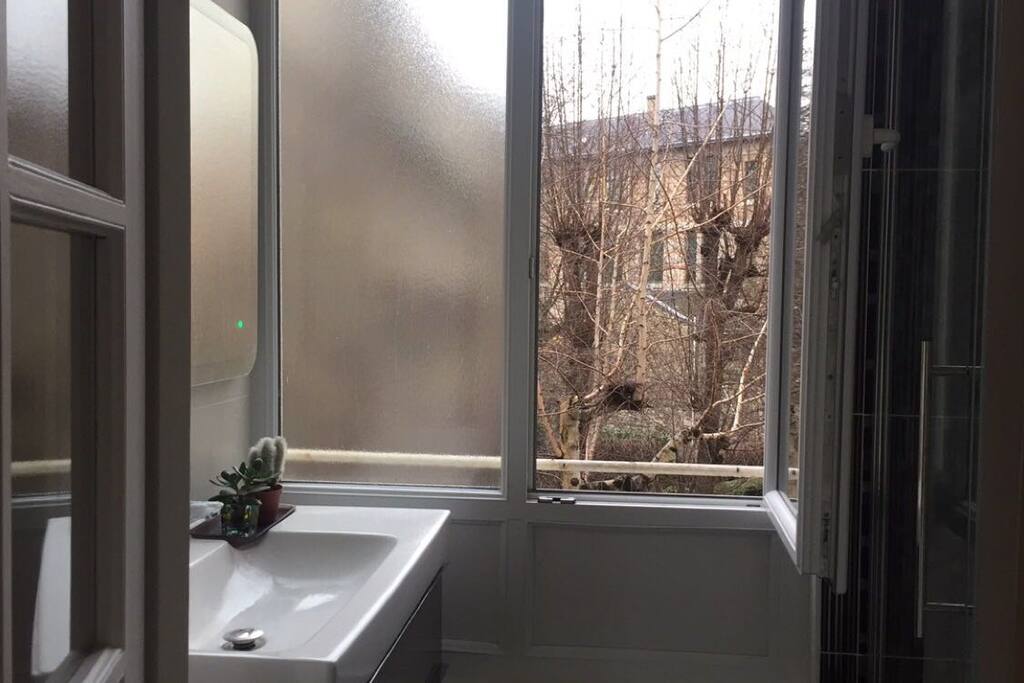 Bathroom window