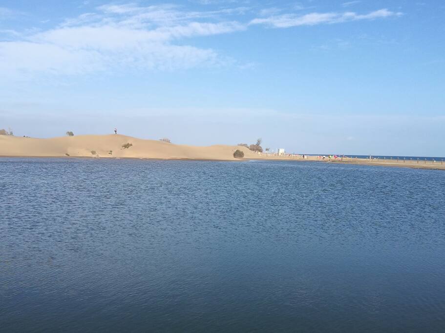 maspalomas