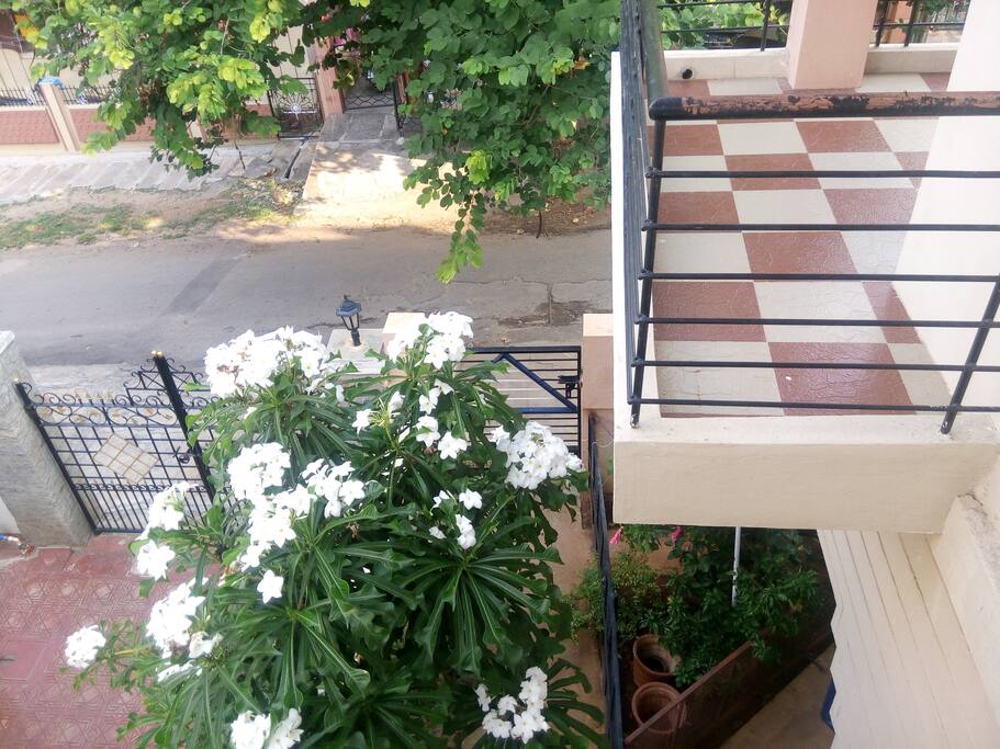 View of the road , from entrance.
