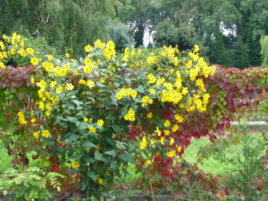 Herbstzauber