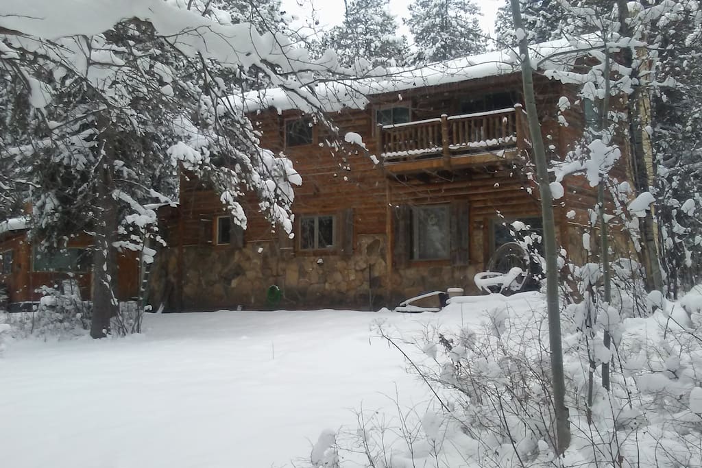 Winter backyard