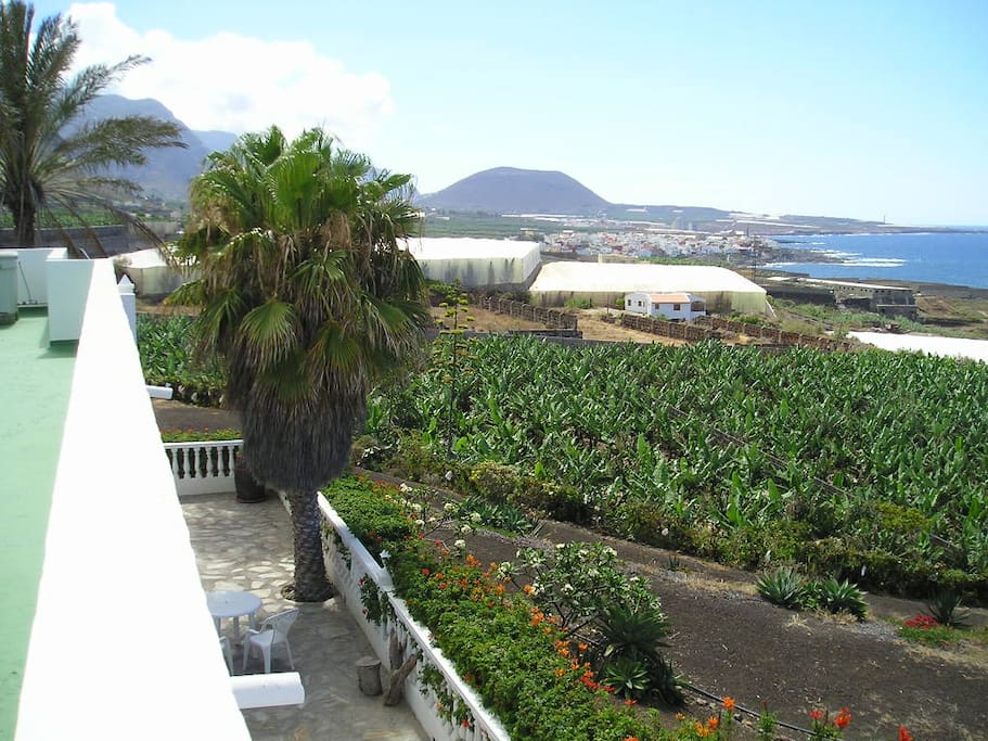 FINCA