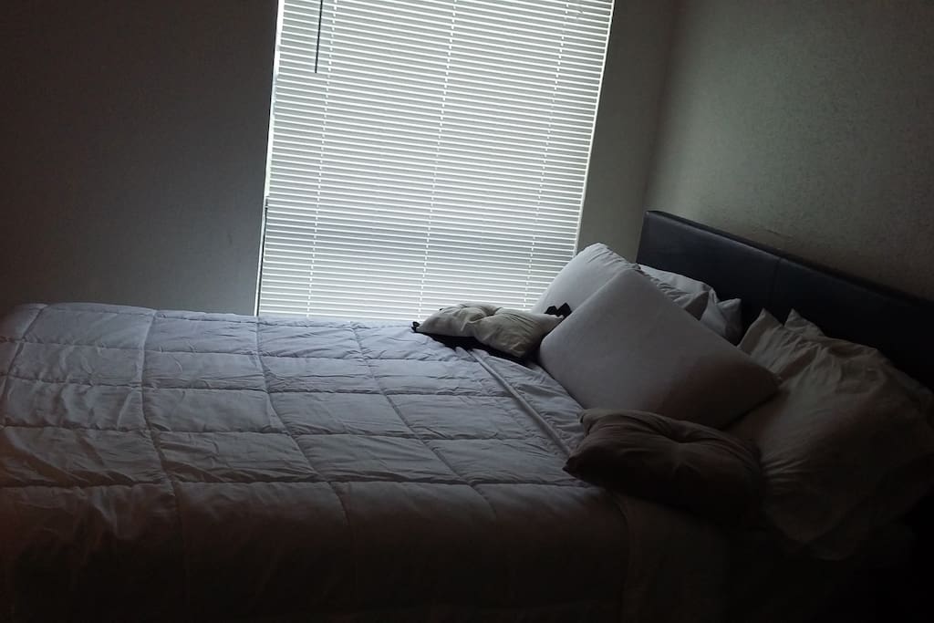 Queen Bed with Memory foam Pillows