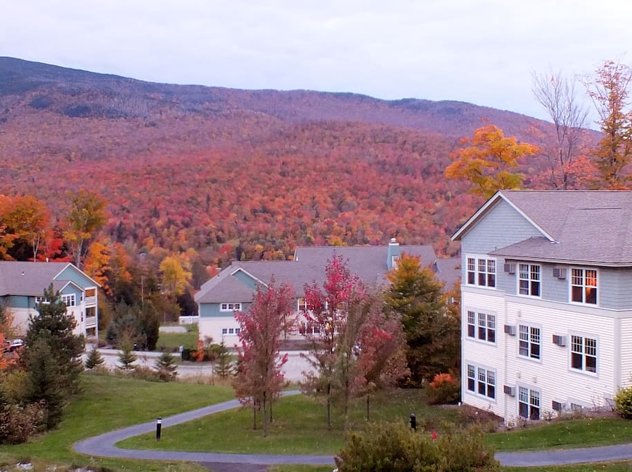 Northern Vermont Fall Foliage