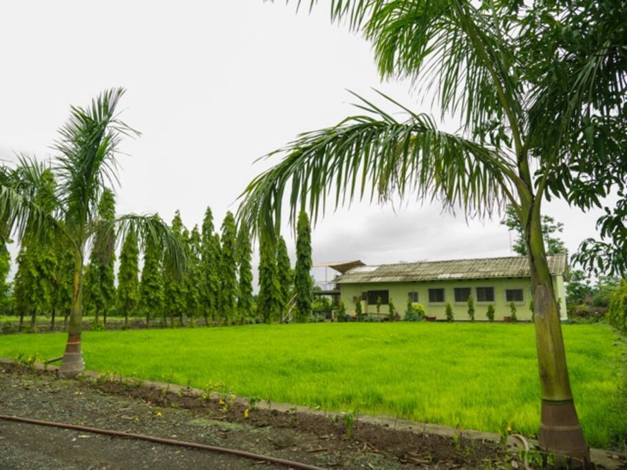 Surrounded with beautiful Ashoka and Coconut trees