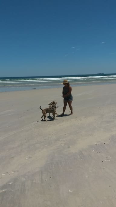 Walking the dogs - Lagoon Beach is 10 minute walk from the house