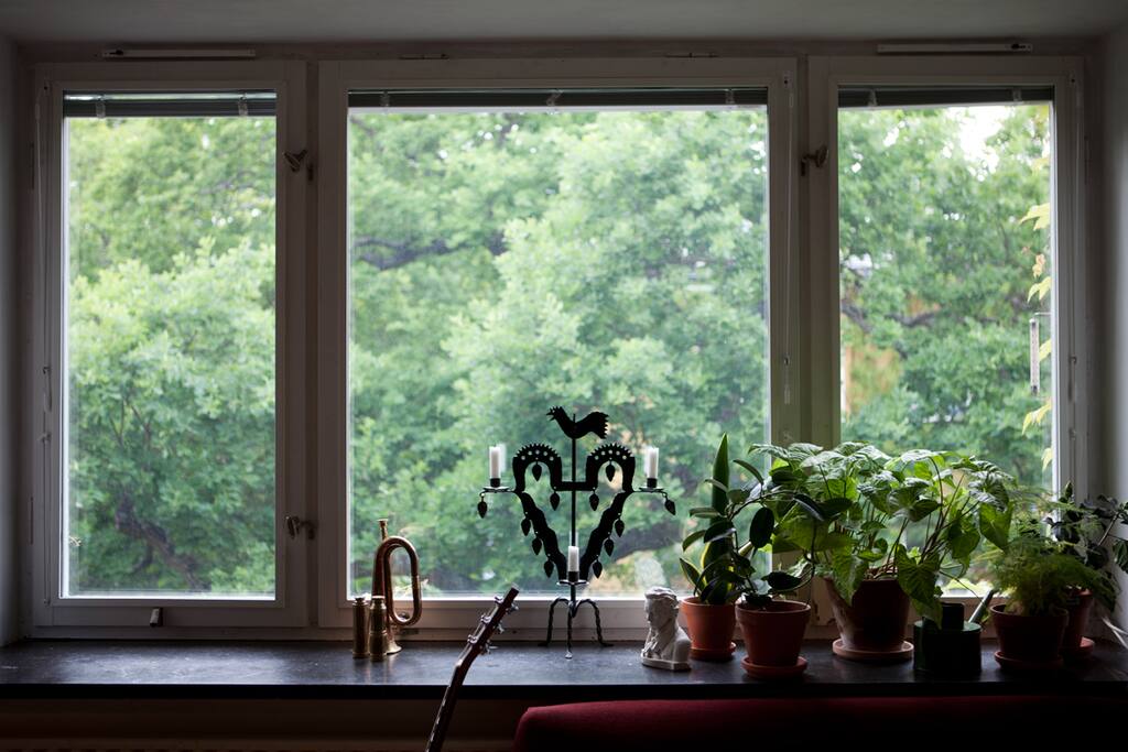 Livingroom view.