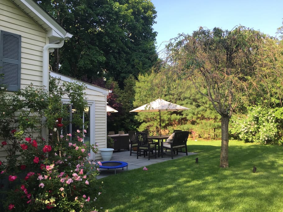 Large enclosed garden for eating, relaxing, and BBQ