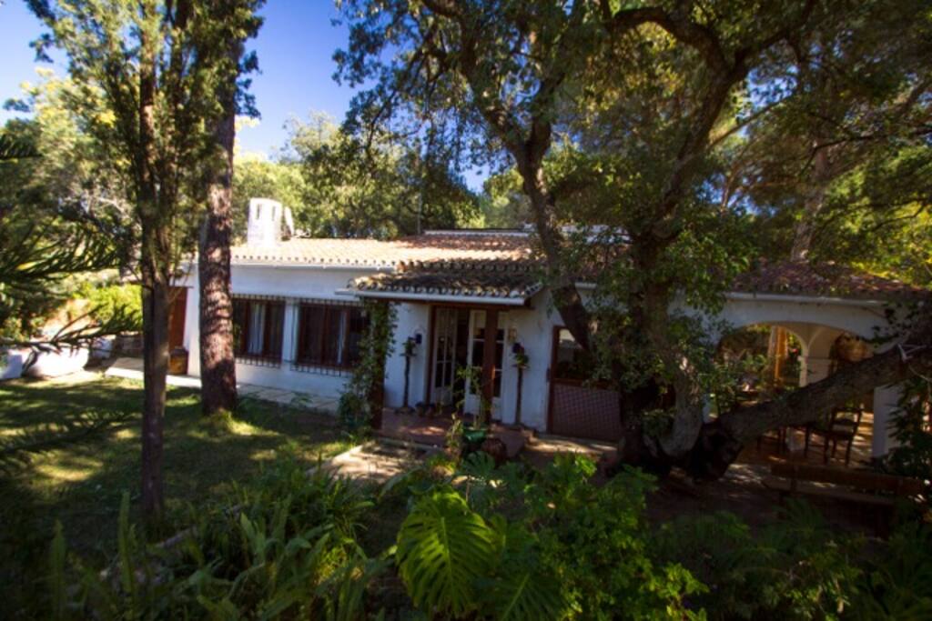 casa mata cerca de todo